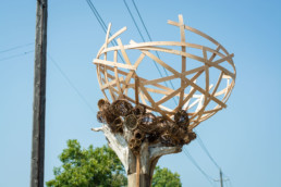 As The Crow Flies - Nesting Nests