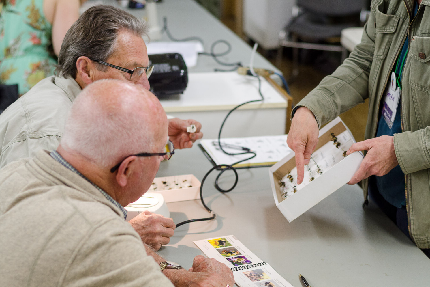 Insight Citizen Science