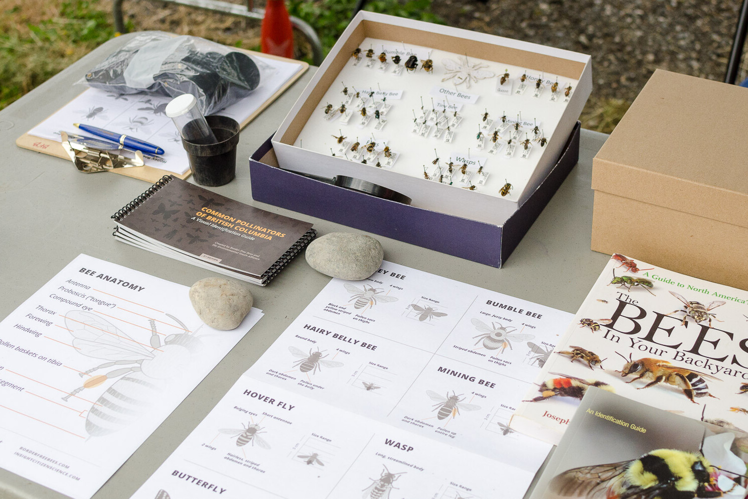 Insight Citizen Science