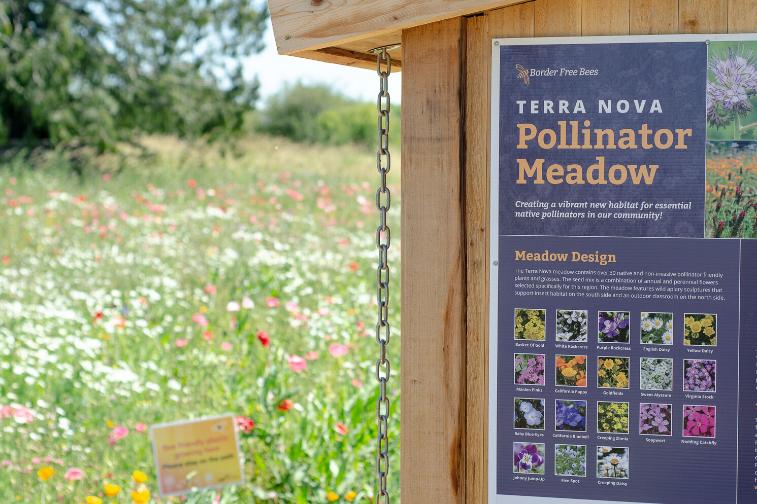 Border Free Bees