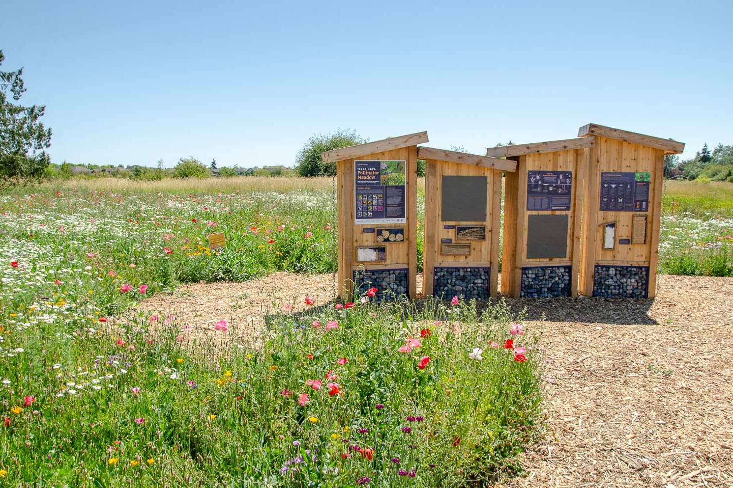 Border Free Bees