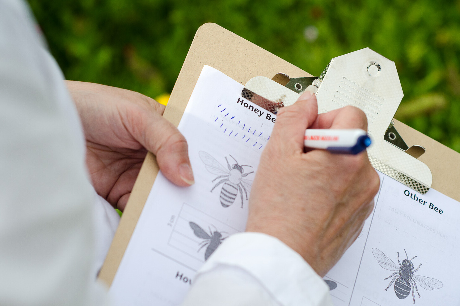 Insight Citizen Science