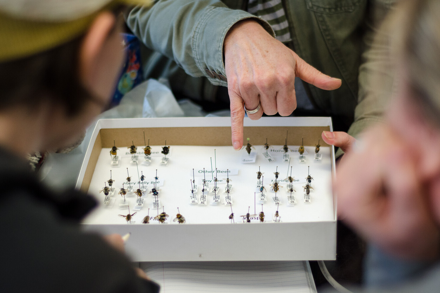 Insight Citizen Science
