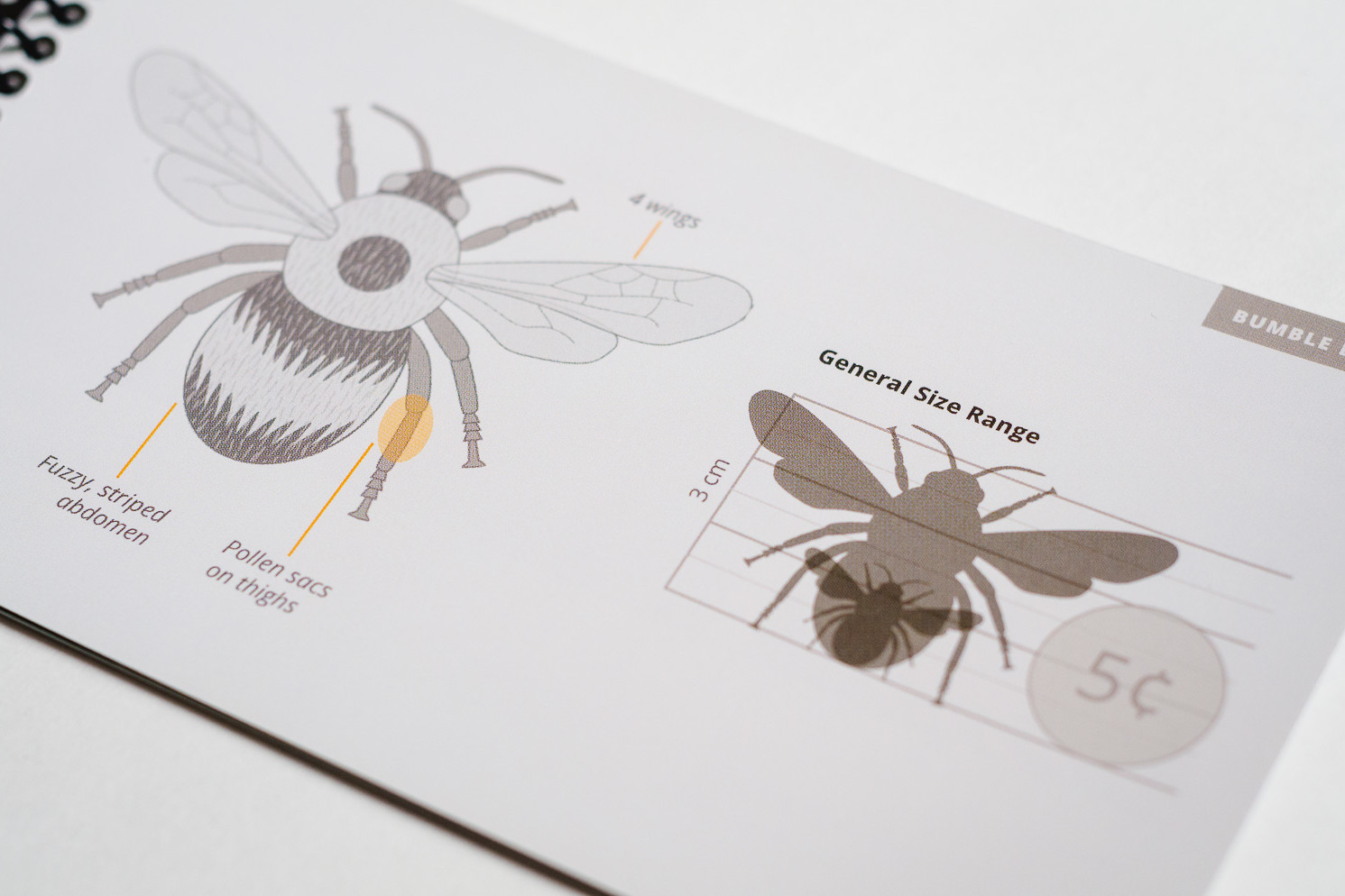 Insight Citizen Science