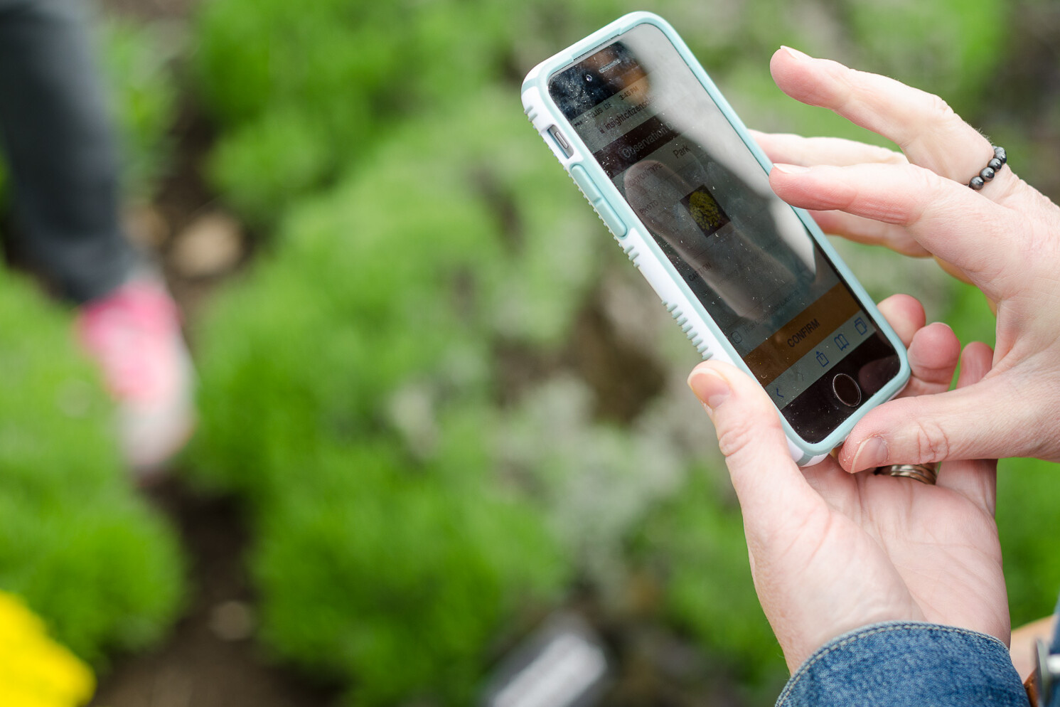 Insight Citizen Science