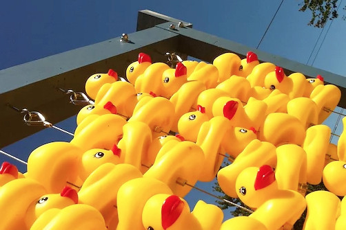 duck abacus