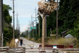 Arbutus Greenway becoming well-used route through Vancouver